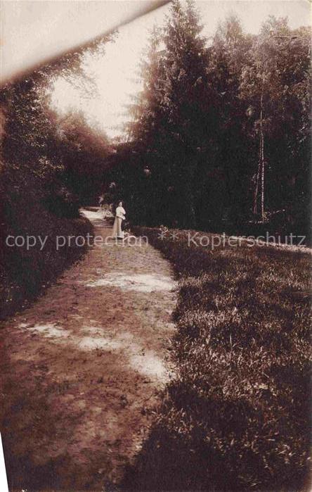 Ragnit TILSIT Sowetsk Oblast Kaliningrad RU Waldpartie