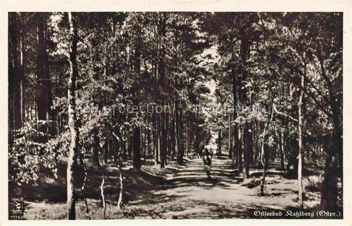 KAHLBERG  Ostseebad Ostpreussen Nowy Dwor Gdanski PL Waldpartie