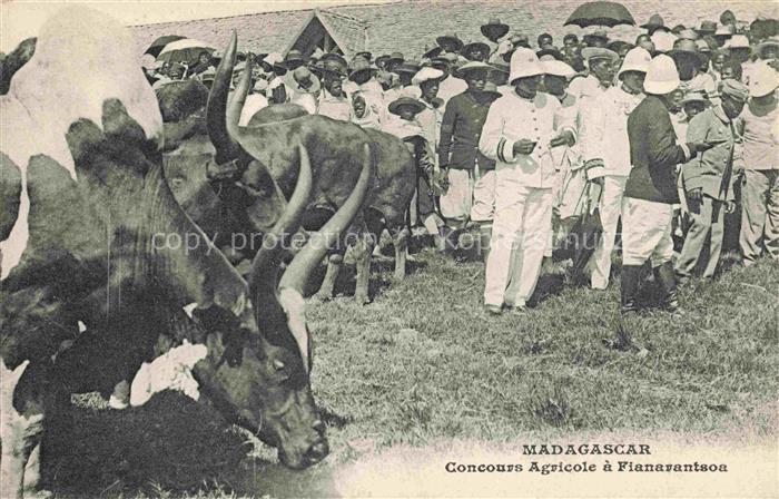 Madagascar Madagaskar Concours Agricole a Fianarantsoa