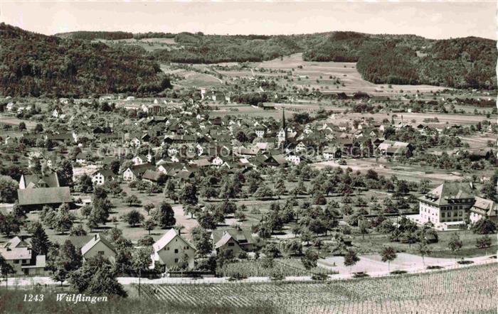 Wuelfingen Panorama