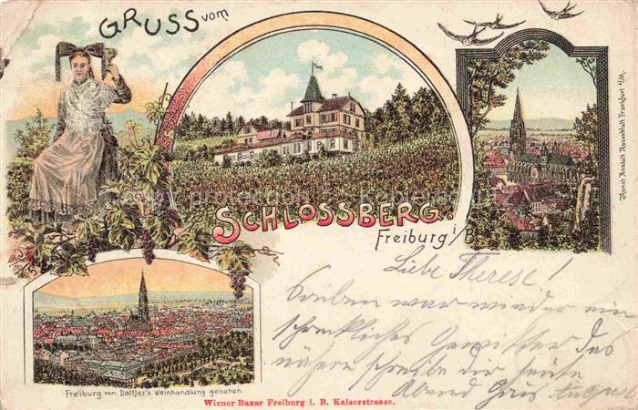 FREIBURG Breisgau BW Schlossberg Muenster Blick vom Dattler