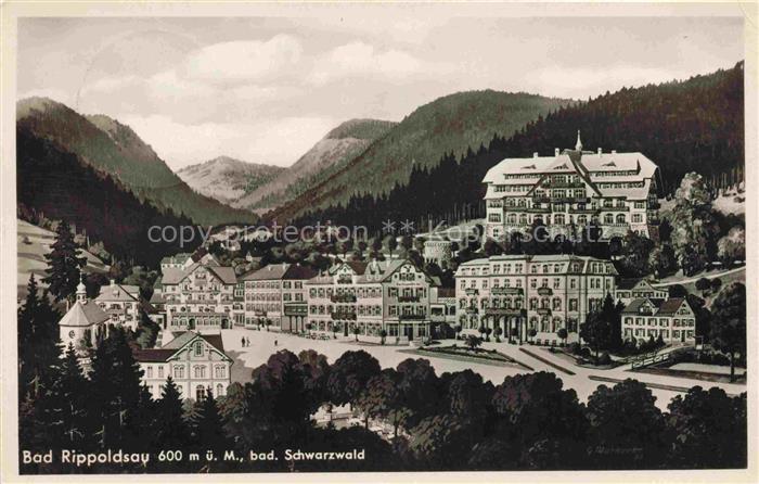 BAD RIPPOLDSAU-SCHAPBACH Panorama