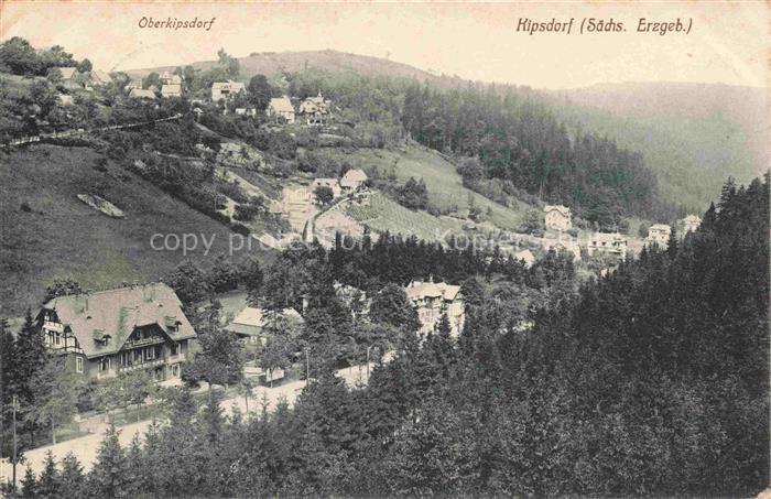 Oberkipsdorf Ober-Kipsdorf Altenberg Sachsen Panorama