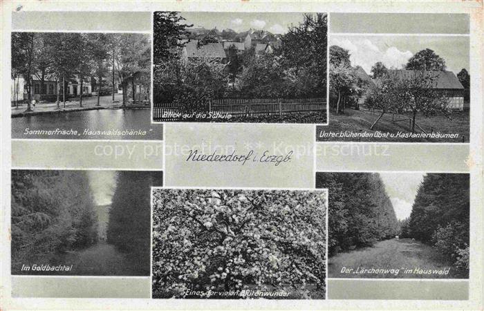 Niederdorf Erzgebirge Stollberg Sachsen Hauswaldschaenke Schule Obst und Kastani