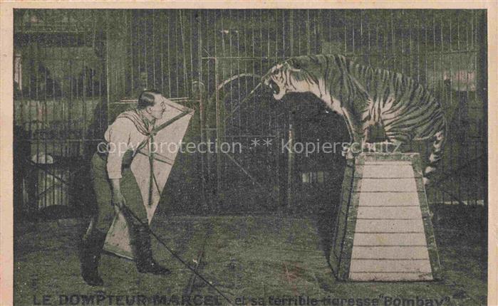 Zirkus Artistik Tieger