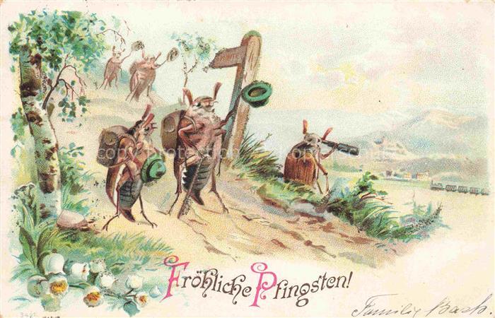 Pfingsten Pentecost Pentecote-- Vermenschlicht Maikaefer Hut Litho