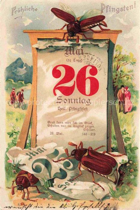 Pfingsten Pentecost Pentecote-- 26 Mai Maikaefer Kalender Litho