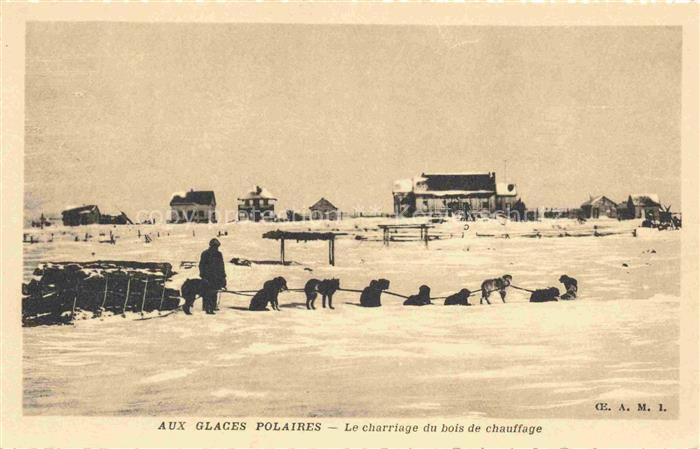 Canada Kanada Glaces Polaires Schlittenhunde