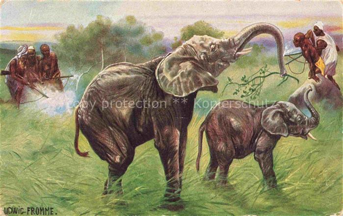 Elefant Udwic Fromme