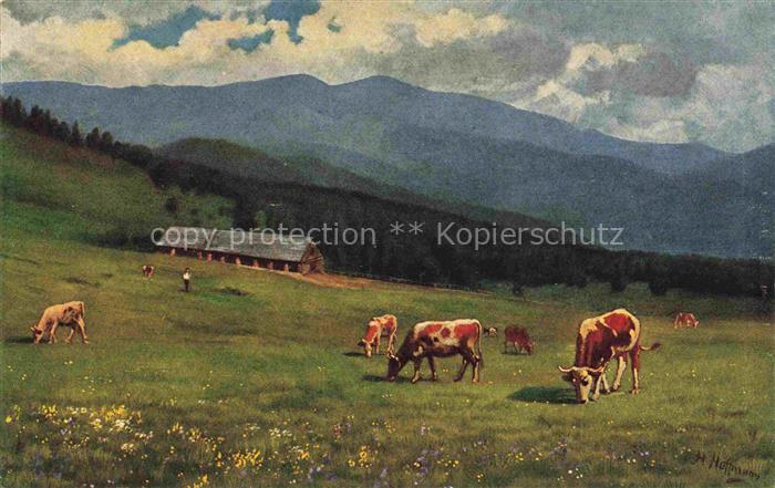 HOFFMANN  Heinrich Kuenstlerkarte Melkerei Belacker Grossen Belchen