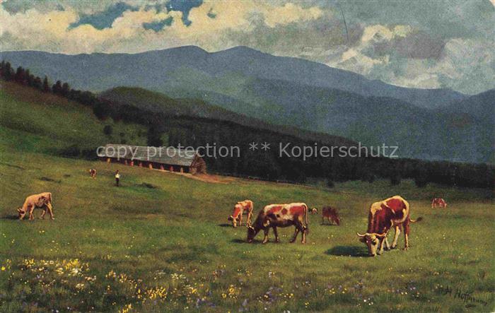 HOFFMANN  Heinrich Kuenstlerkarte Melkerei Belacker Grossen Belchen