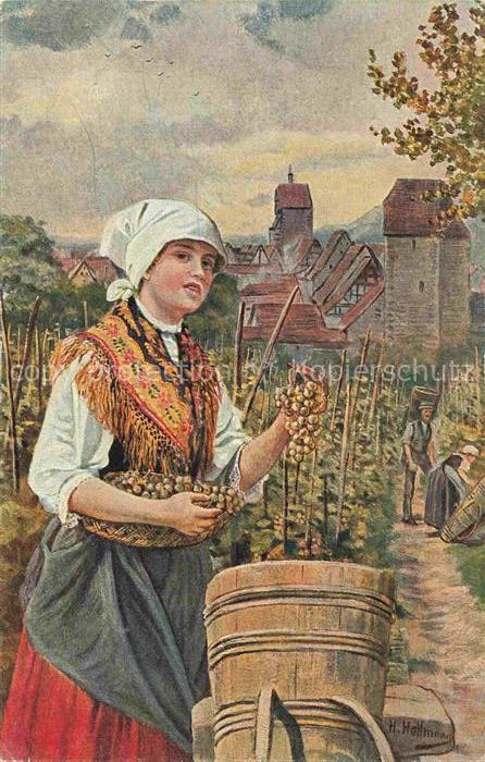 HOFFMANN  Heinrich Kuenstlerkarte Traubenernte im Schloss Reichenweier