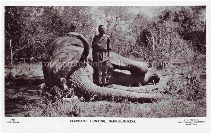 Elefant Hunting Bahr el Ghazal