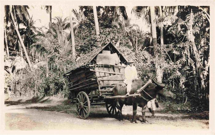 Philippinen Philippines Stier kutsche