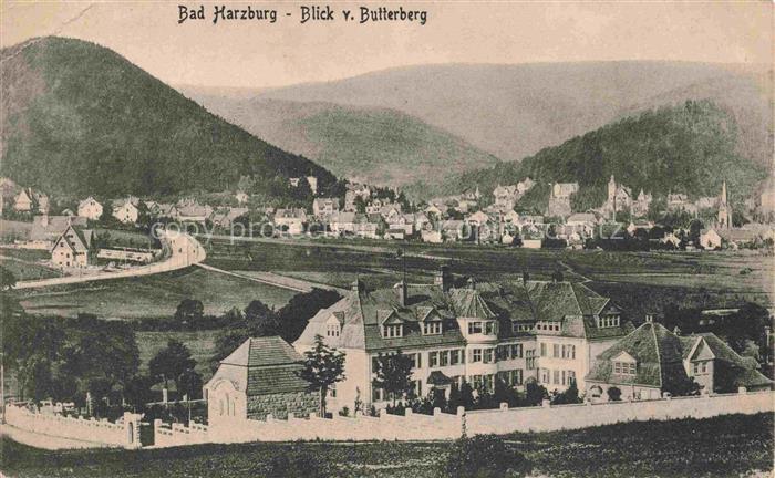 BAD HARZBURG Blick vom Butterberg
