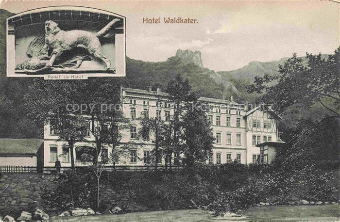 Waldkater Hotel Bodetal Bodethal Harz Hotel Waldkater Relief am Hotel
