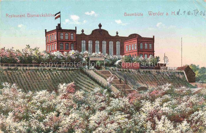 Werder Havel Restaurant Bismarckshoehe Baumbluete