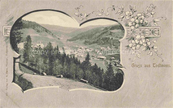 Todtmoos Schwarzwald BW Panorama