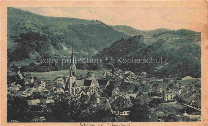 Schoenau Schwarzwald Panorama