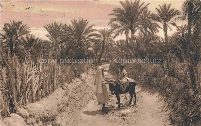 Tougourt Touggourt Algerie Dans l'Oasis