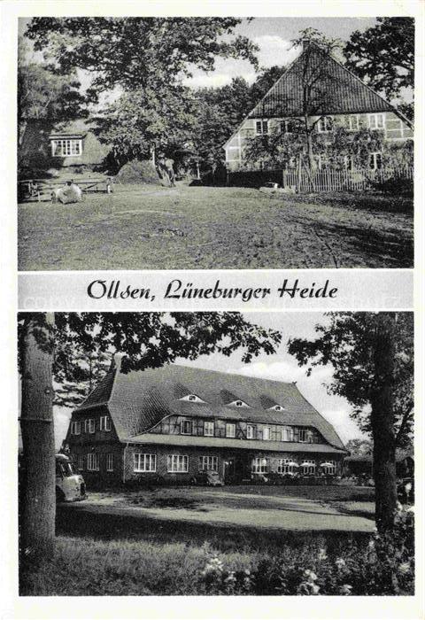 Ollsen Lueneburger Heide Hanstedt Harburg Park Gasthaus