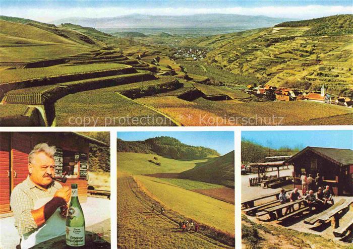 Schelingen Vogtsburg Kaiserstuhl Schelinger Hoehe Kiosk Hans Prey Panorama Freit