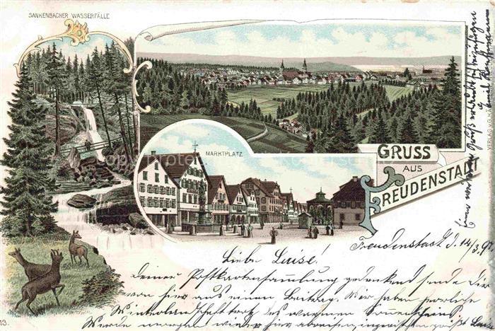 FREUDENSTADT BW Sankenbacher Wasserfaelle Panorama Marktplatz