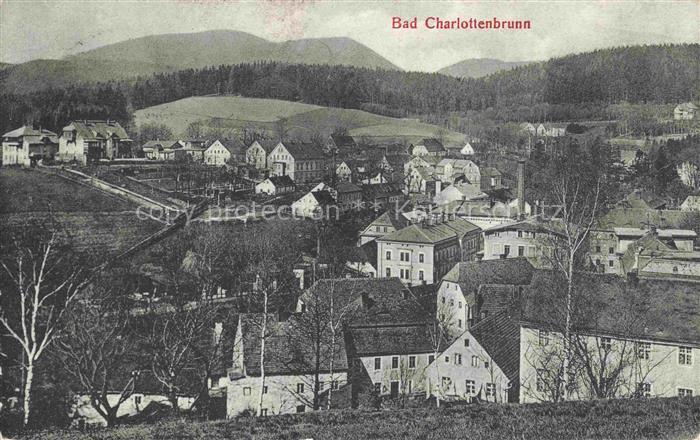 Bad Charlottenbrunn Jedlina Zdroj PL Panorama