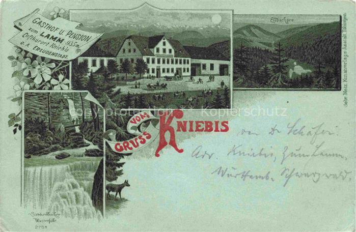 KNIEBIS Freudenstadt Gasthof zum Lamm Sankenbacher Wasserfall Ellbachsee