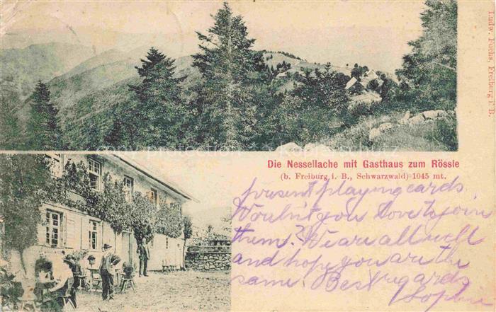 FREIBURG Breisgau BW Die Nessellache mit Gasthaus zum Roessle