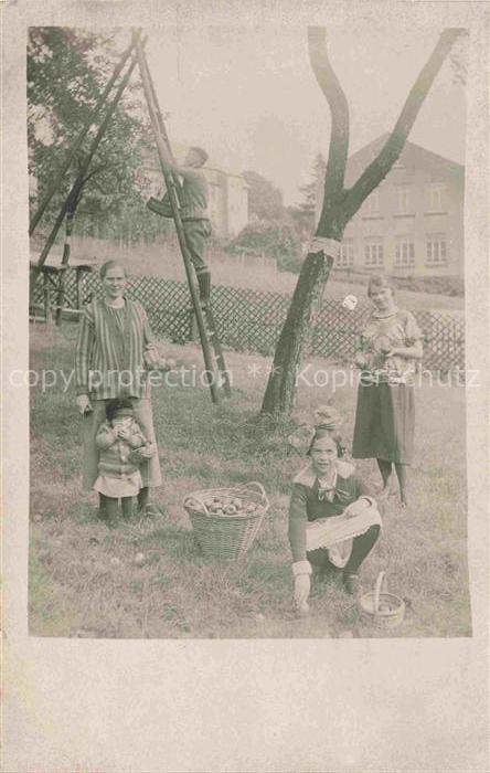 Burkhardtsdorf Erzgebirgskreis Sachsen Obsternte