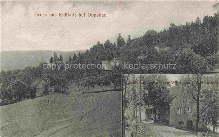 Kalikutt Oppenau Ortenaukreis BW Panorama Gasthaus zum gruenen Wald