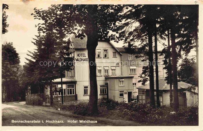 Benneckenstein Harz Hotel Waldhaus