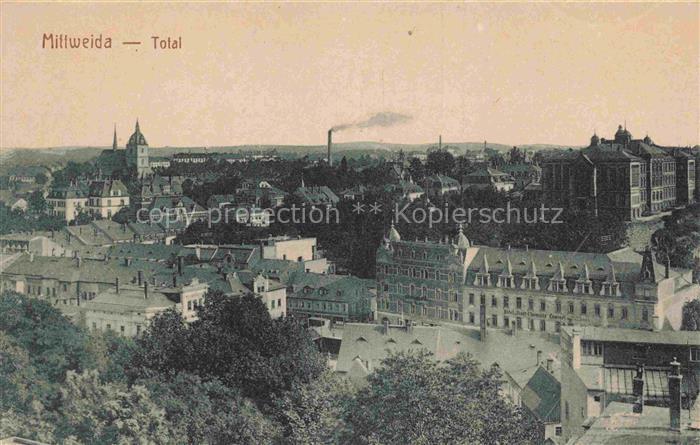 Mittweida Sachsen Panorama