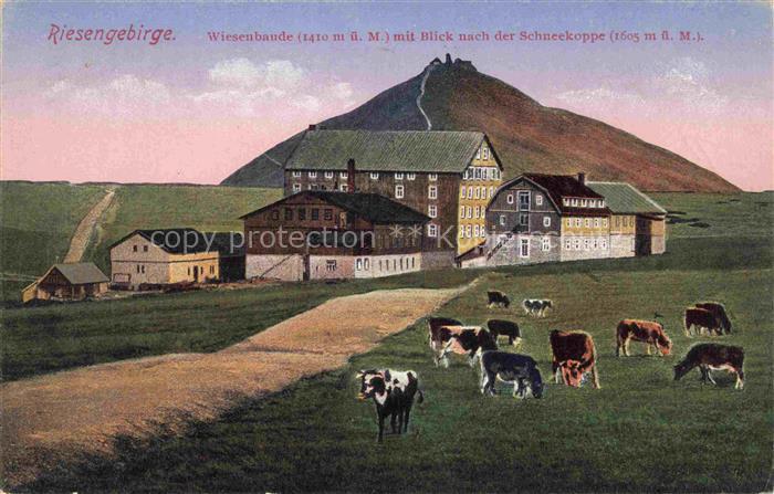 Wiesenbaude 1400m Riesengebirge CZ mit Schneekoppenblick