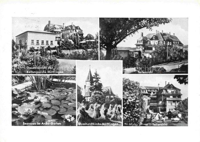 Moettlingen Rettungsarche Seerosen im Arche Garten Blumhardtkirche Teilansichten