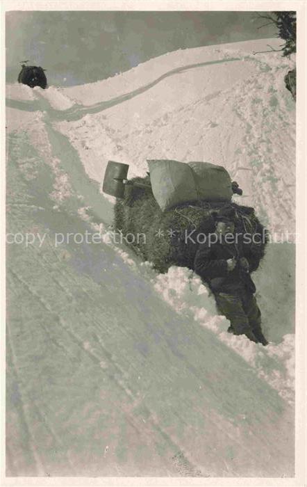 Landwirtschaft Heutransport Alp Davos wolfgang