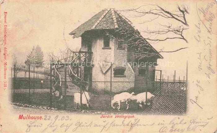 Zoo Gardin Zoologique-- Mulhouse