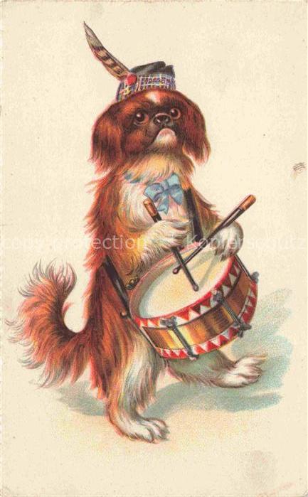 Trommler Drummer Batteur Tamborilero-- Hund