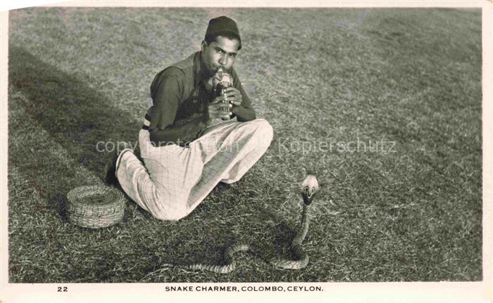 SCHLANGEN Snakes Serpents Serpientes-- Charmer Colombo Ceylon