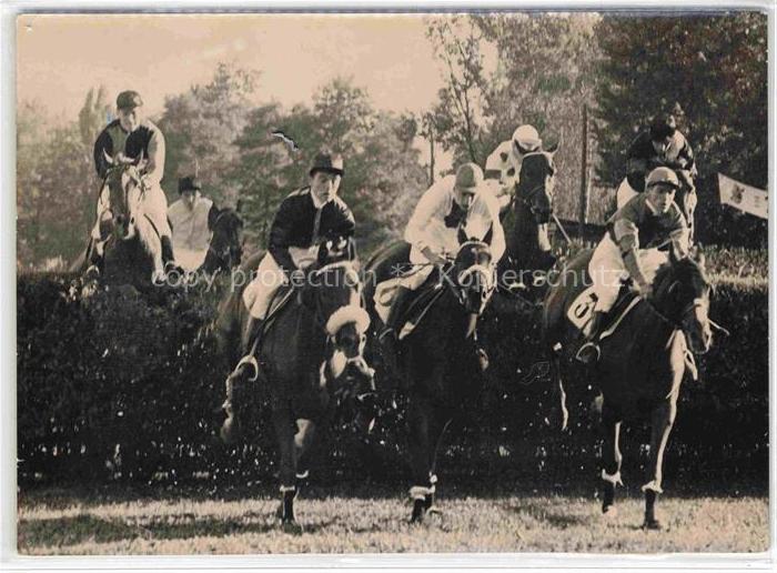 Reitsport Pferdesport Pferderennen Basel Schaenzli