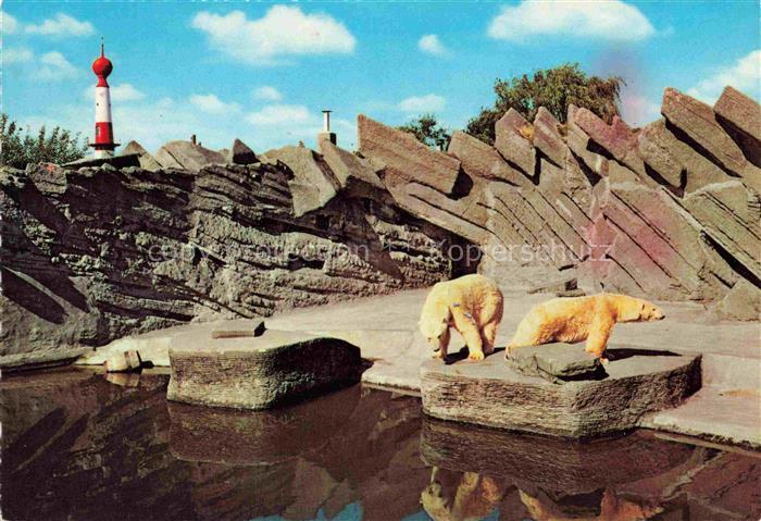 Eisbaer Icebear Ours Polaire Bear Orso-- Tiergarten Bremerhaven