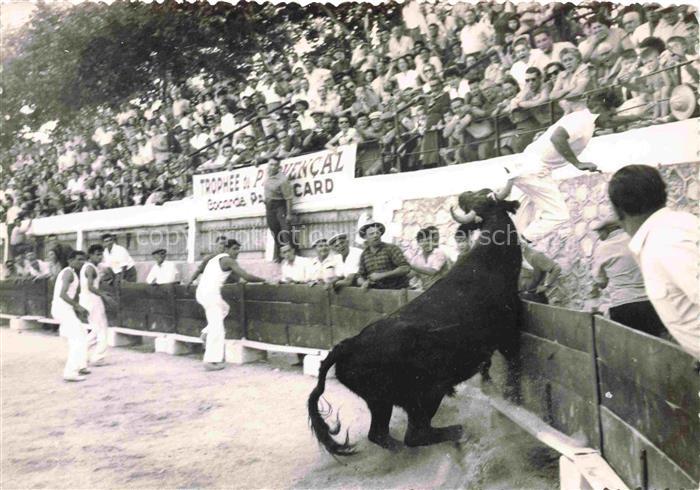 Stierkampf Corrida de Toros Bullfight--