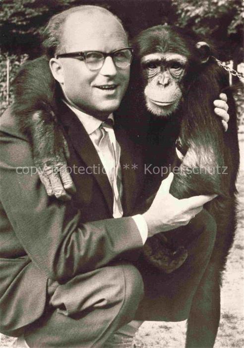 Zoo Gardin Zoologique-- Schimpansen Siegfried Seifert