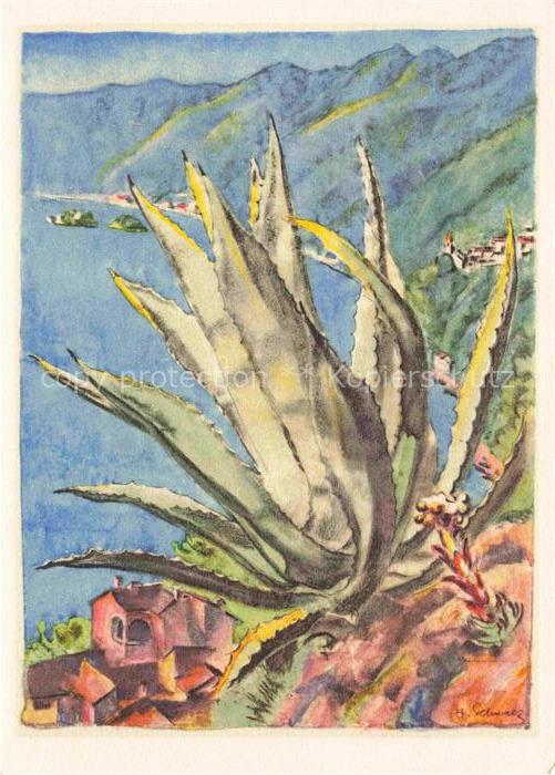 Schwarz Hans Kuenstlerkarte Tessin la Riviera Svizzera Lago Maggiore