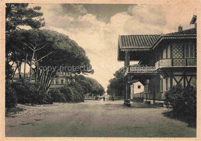 PISA Toscana IT Real Tenuta di S Rossore Il Gombo