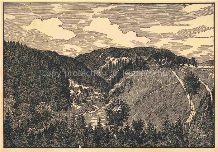 Schwarzenstein Wald Schwarzenbach Frankenwald Gasthaus zum Rodachtal Panorama