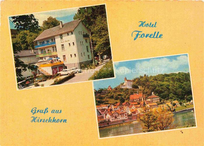 Hirschhorn Neckar Hessen Hotel Forelle Panorama