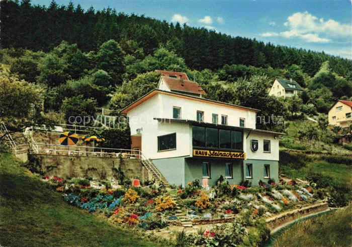 Schoenau Heidelberg Odenwald Restaurant Steinachperle