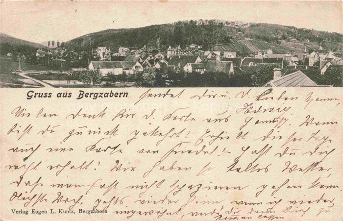 Bergzabern Bad Weinstrasse Rheinland-Pfalz Panorama